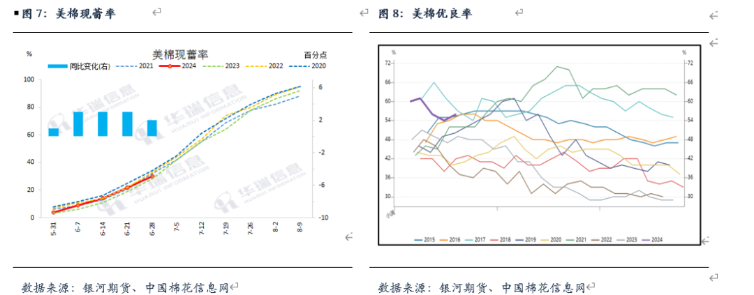 美棉最终播种面积及产量分析-第9张图片
