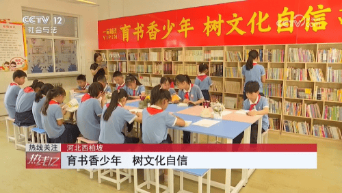 央视报道：一品制药以党建带动公益行动 捐建西柏坡希望小学一品书屋-第5张图片