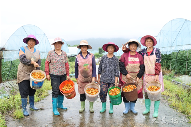最高亩产10000斤！独山县的“小果实”迎来“大丰收”-第3张图片