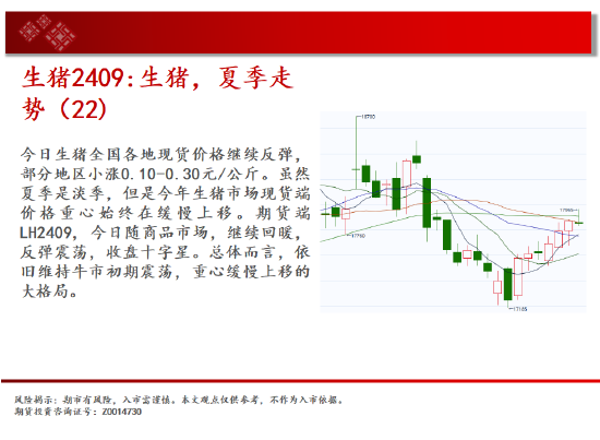 中天期货:白银高开低走 棕榈8000一线争夺-第8张图片