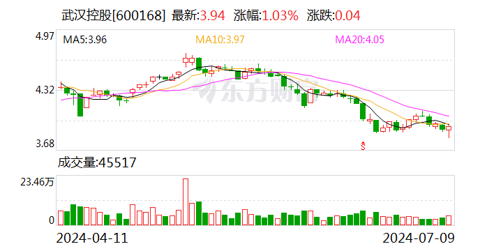 武汉控股：2024年上半年净利同比预降74.48%-82.89%-第1张图片