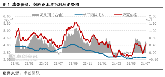鸡蛋：上半年蛋、料双降 养殖盈利同比减少-第2张图片