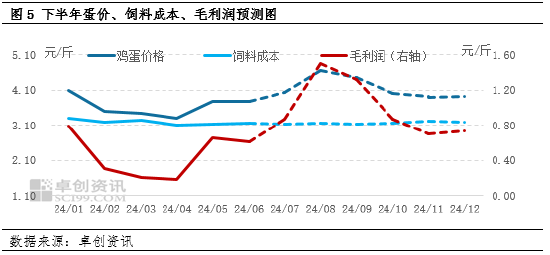 鸡蛋：上半年蛋、料双降 养殖盈利同比减少-第5张图片