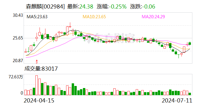 西南证券给予森麒麟买入评级，半钢胎无惧波动，摩洛哥项目提供未来增量-第1张图片