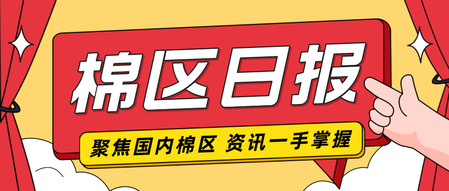 山东泰安：干旱墒情有缓解 棉苗长势较好-第2张图片