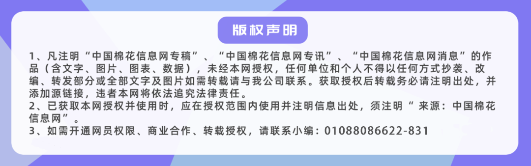 山东泰安：干旱墒情有缓解 棉苗长势较好-第3张图片