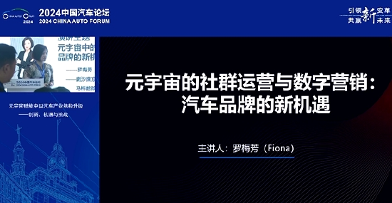 元宇宙专家罗梅芳：中国汽车品牌的现状就一句话，小荷才露尖尖角-第1张图片