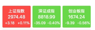 A股白马蓝筹护盘！两大板块逆势走强-第1张图片