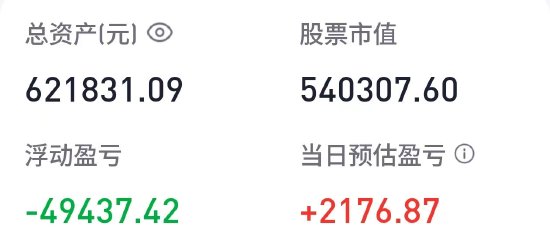 胡锡进：今天回血2176元，总亏损仍在7.82万元-第1张图片