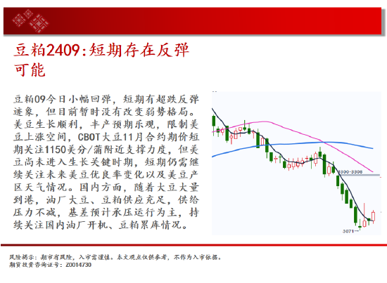 中天期货:棕榈回弹衰竭 白银承压大跌-第12张图片