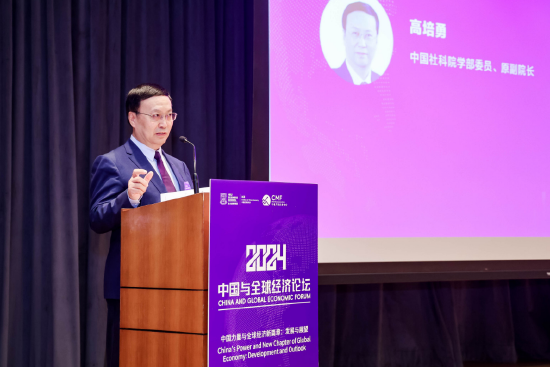 高培勇：当前只有居民和企业预期稳定信心增强，消费和投资需求不足的问题才可随之化解-第1张图片