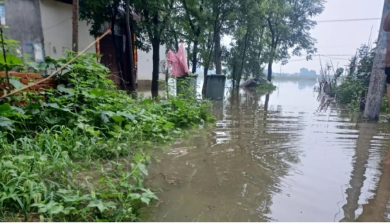南阳暴雨以致当地猪场受灾！牧原回应：公司经营未受影响！官方发布汛期猪场应急管理七条措施-第2张图片