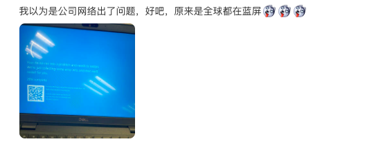 “微软蓝屏”风波影响全球约850万台Windows设备 马斯克：这是史上最大IT失败-第1张图片
