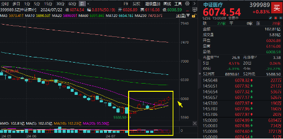 CXO、医疗设备联袂拉涨，医疗ETF（512170）逆市斩获四连阳！公募基金医药持仓降至冰点，机构：有望企稳回升-第1张图片
