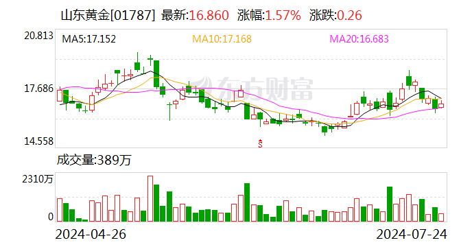 山东黄金：控股子公司银泰黄金变更证券简称为“山金国际”-第2张图片