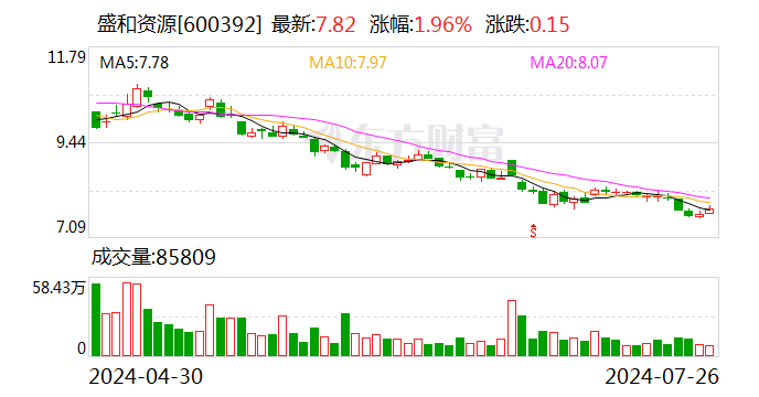 盛和资源51岁董事长辞职 下一站是中国地质科学院某研究所 副董事长暂代公司董事长职务-第1张图片