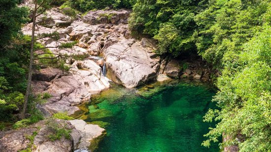 农夫山泉黄山工厂预计将为当地每年创税约1.5亿，并提供约500个就业岗位-第1张图片