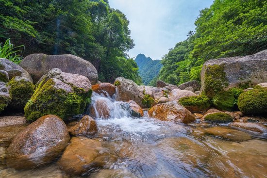 农夫山泉黄山工厂预计将为当地每年创税约1.5亿，并提供约500个就业岗位-第3张图片