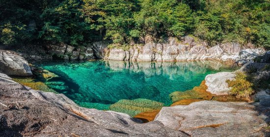 农夫山泉黄山工厂预计将为当地每年创税约1.5亿，并提供约500个就业岗位-第4张图片