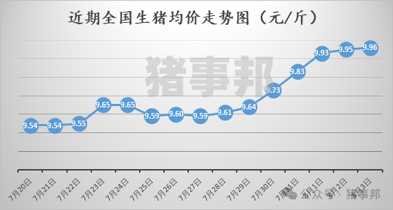 猪事邦||8月3日猪价汇总（全国均价为9.96元/斤！）-第2张图片