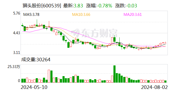 狮头股份：收到山西证监局行政监管措施决定书-第1张图片