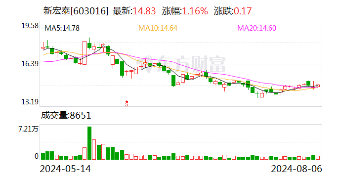 新宏泰：补选公司独立董事-第1张图片