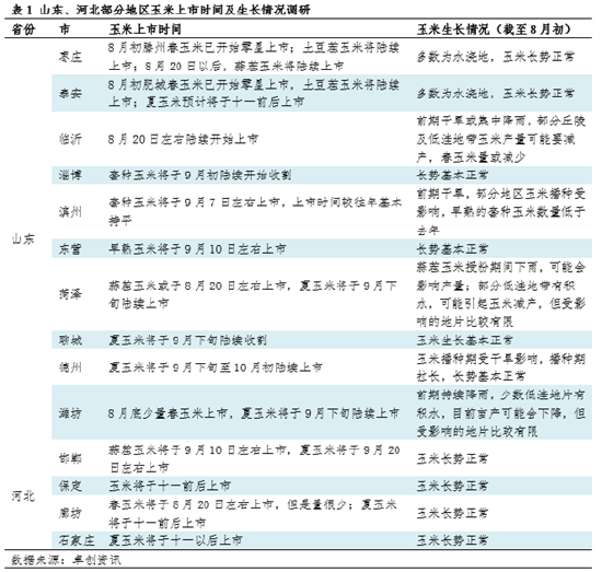 山东、河北地区玉米生长情况及上市时间调研-第3张图片
