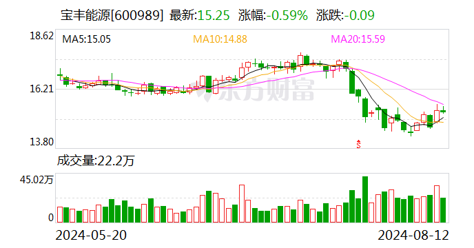 宝丰能源：高质量发展迈向新台阶 上半年营收同比增长29.09%-第1张图片