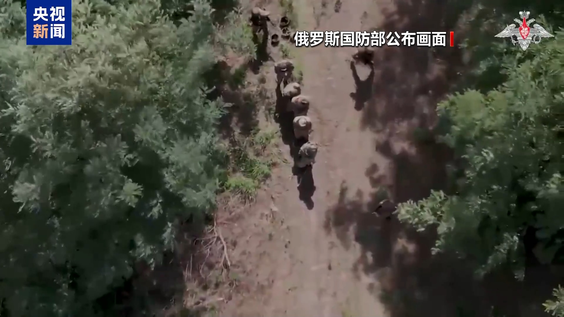 俄国防部：在库尔斯克州击退乌军六轮进攻-第1张图片