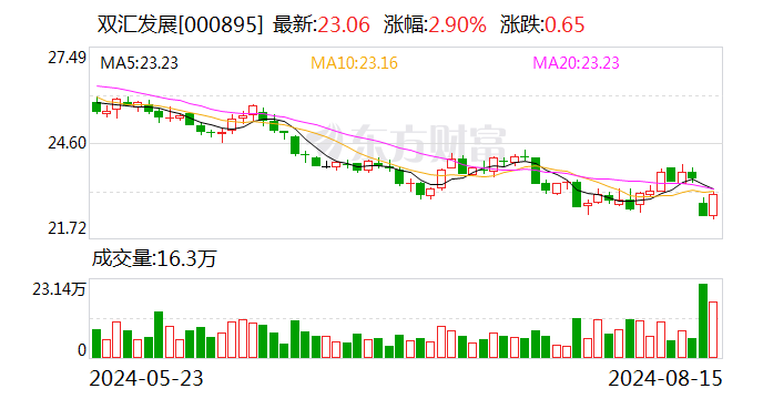 双汇发展发布半年报：上半年营收276亿元 肉制品新渠道销量增超40%-第1张图片