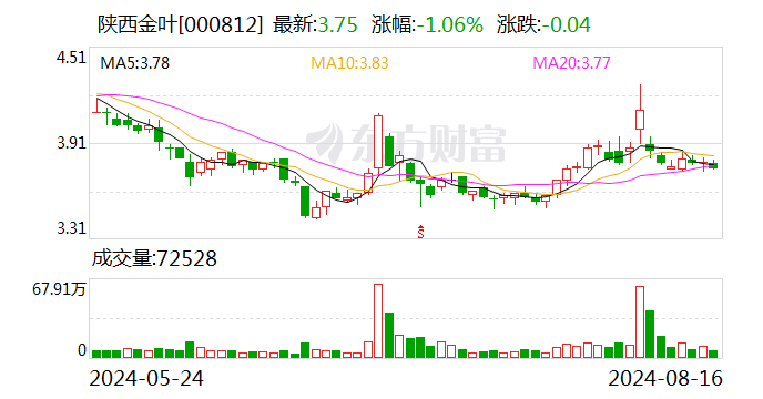 上市公司实控人 被监视居住-第1张图片