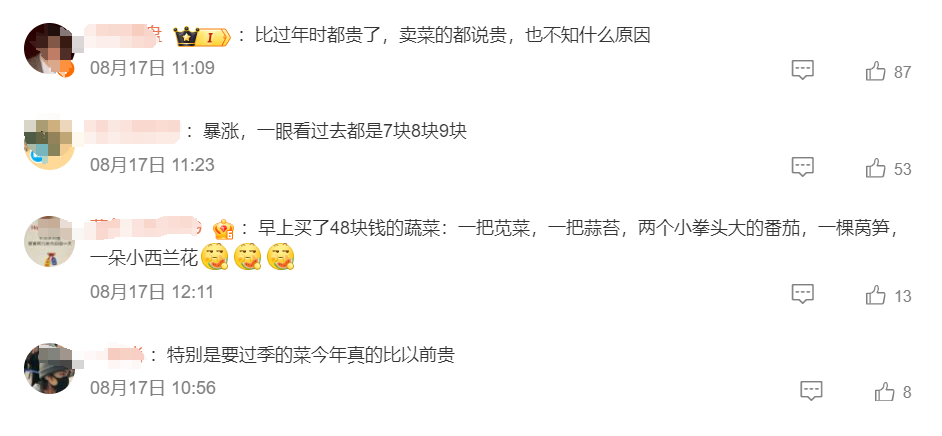 一根黄瓜快5元？菜价涨至近10年最高！何时会降？-第4张图片