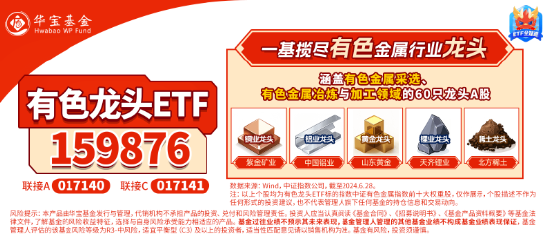 COMEX黄金再攀新高！为什么建议关注有色？紫金矿业涨超2%，有色龙头ETF（159876）盘中上探2．48%-第5张图片