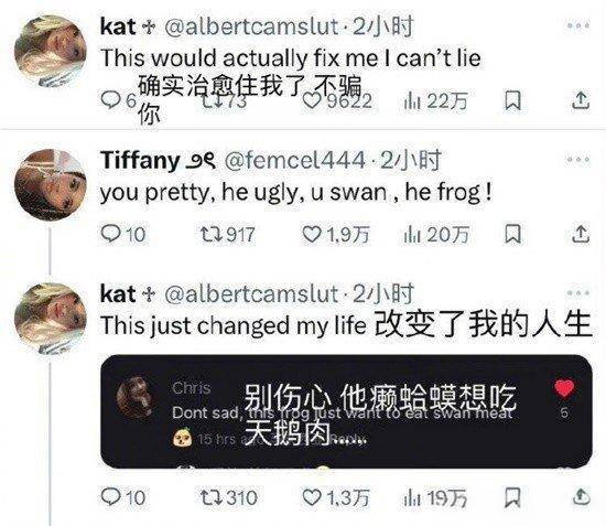 中式英语成海外爆梗 "you swan he frog"-第1张图片