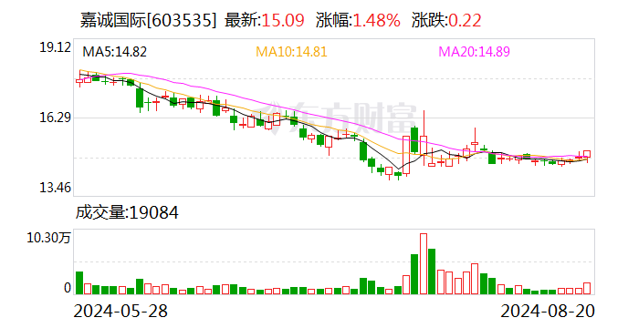 嘉诚国际：2024年上半年净利润同比增长10.37%-第1张图片