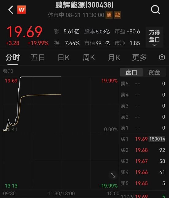 直线20cm涨停，官宣重大突破！复合增速达52%，这个热门行业高景气，高增长低估值股揭秘-第1张图片