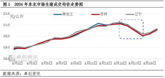 卓创资讯：短期市场供需错配加深 东北猪价涨跌波动剧烈-第3张图片
