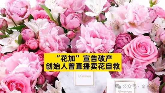 知名独角兽花加死在B轮！10家VC投资归零，徐小平踩雷...-第1张图片