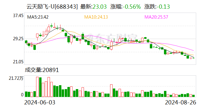云天励飞上半年营收同比增长97% 智能硬件将成业绩新增长点-第1张图片