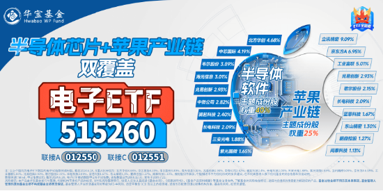 无惧下跌！基本面强才是王道！果链+芯片业绩亮眼，电子ETF（515260）尾盘溢价高企，或有资金逢跌进场埋伏！-第4张图片