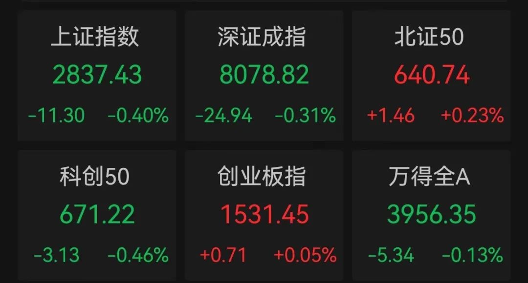 环保龙头罕见跳水！数据要素有新催化 6只业绩增长股市盈率不到20倍-第1张图片
