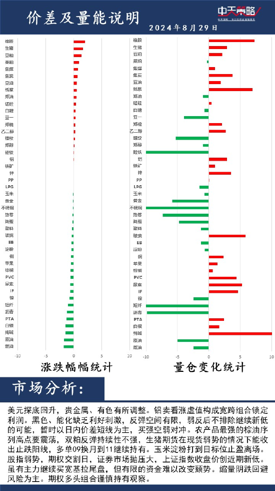 中天策略:8月29日市场分析-第2张图片