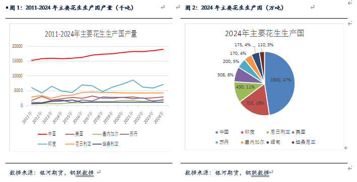 【花生月报】花生产量低于预期  现货仍有下跌空间-第3张图片