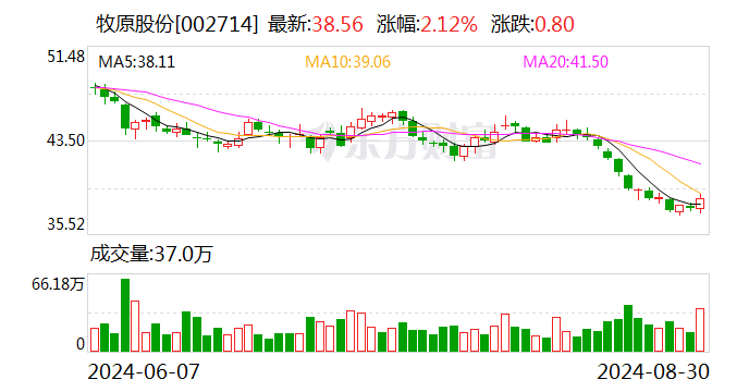 生猪养殖业大面积扭亏 多家龙头企业净利润增幅超100%-第1张图片