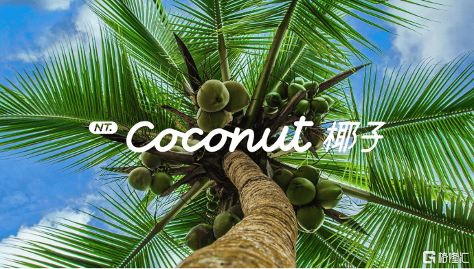 面向未来十年，NT.Coconut 椰子 乐道智能系统正式发布-第1张图片