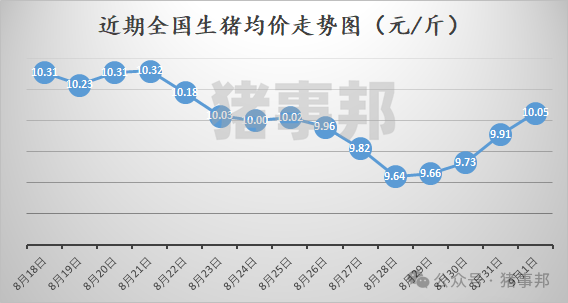猪事邦||9月1日猪价汇总（9月开门红，但北方涨势有变！）-第2张图片