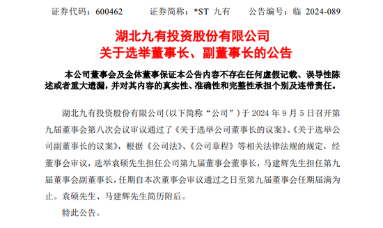 又有“95后”A股掌门人！-第3张图片