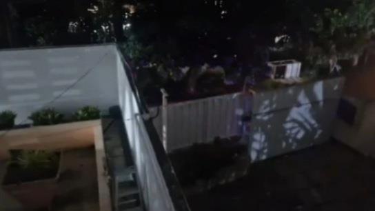 委内瑞拉撤销巴西对阿根廷驻委使馆代表权 巴西政府表示震惊-第1张图片