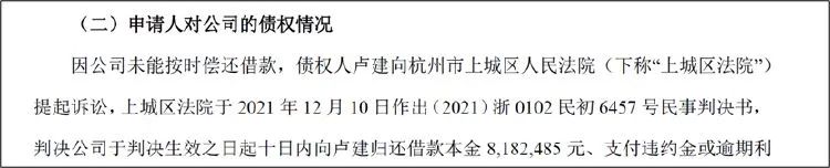 昔日跨境电商一哥 为何还不起800万元？-第3张图片