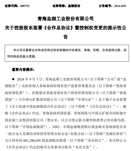 刚刚！万亿央企盐湖股份，放大招！-第2张图片